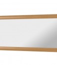 Zrcadlo 120 x 50