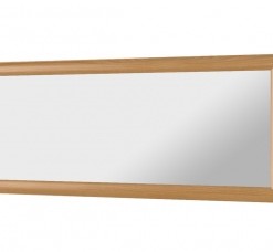 Zrcadlo 120 x 50