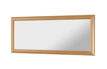Zrcadlo 120 x 50